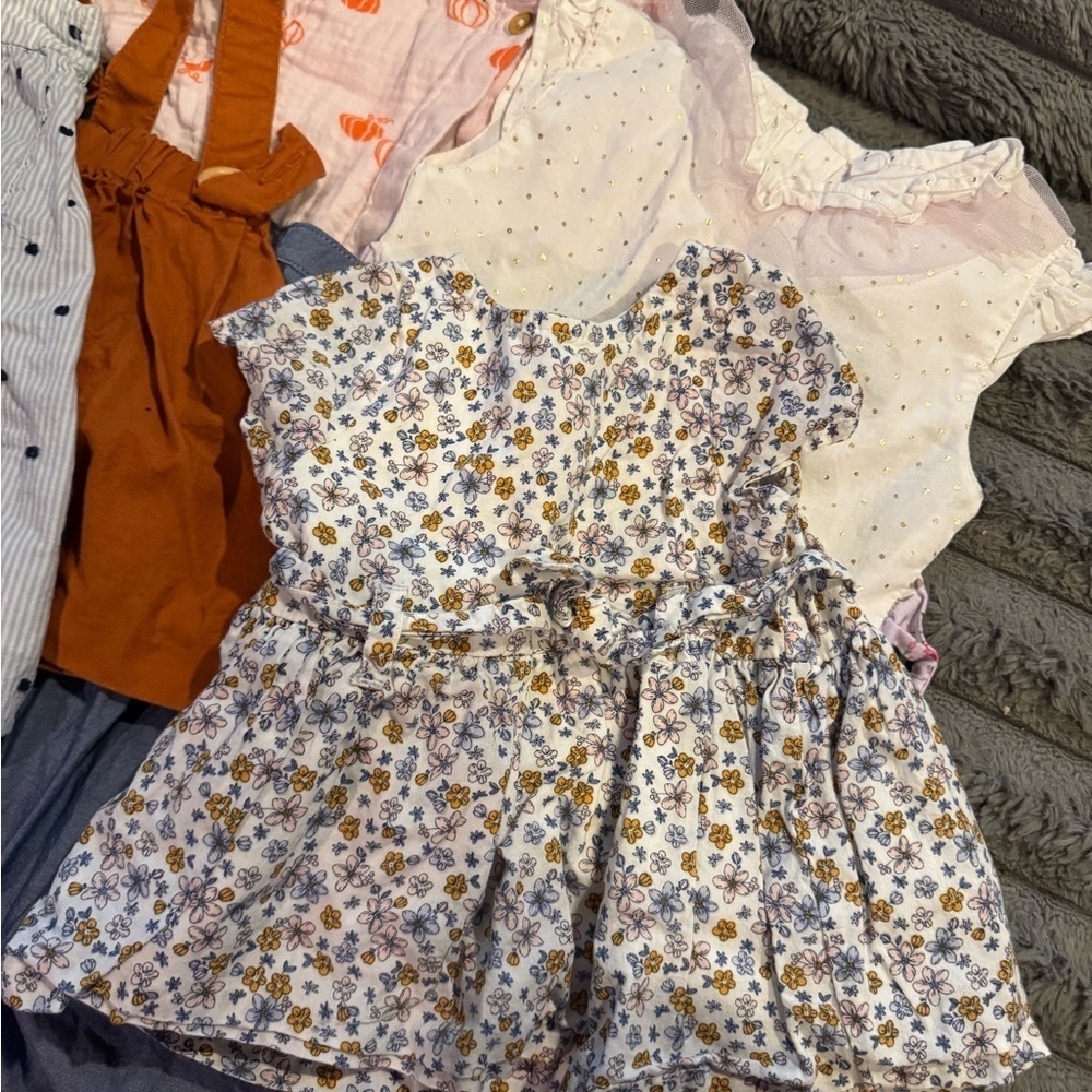 Bundle of Girls Dresses Range 3 Months to 3T - Picture 11 of 14